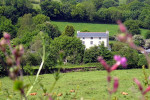 B&B Hotel Richard in Devon