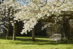 Pig Hotel Bath Urlaub Suedengland Reise Garten