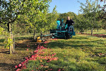 Hotel Pig Canterbury Urlaub Suedostengland Reise Obstgarten