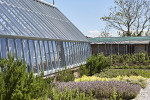 PIG Hotel HarlynBay Urlaub Cornwall KitchenGarden