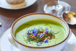 PIG Hotel HarlynBay Urlaub Cornwall Restaurant saisonale Gerichte Suppe