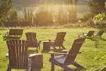 Hotel Pig SouthDowns Urlaub Suedoestengland Reise Park