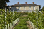 Hotel Pig SouthDowns Urlaub Suedoestengland Willkommen Weinberg