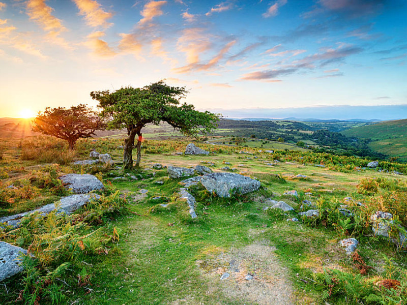 Bus Tagesausflug ins Dartmoor und Exmoor 