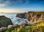 Urlaub im Hotel - blühende Küste in Cornwall