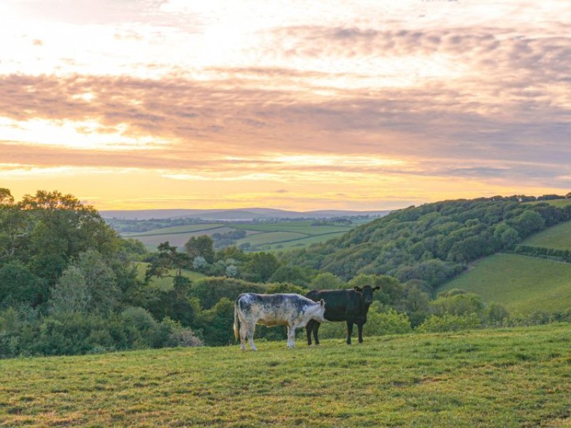 Grafschaft Devon als Teil Ihrer Südengland Reise