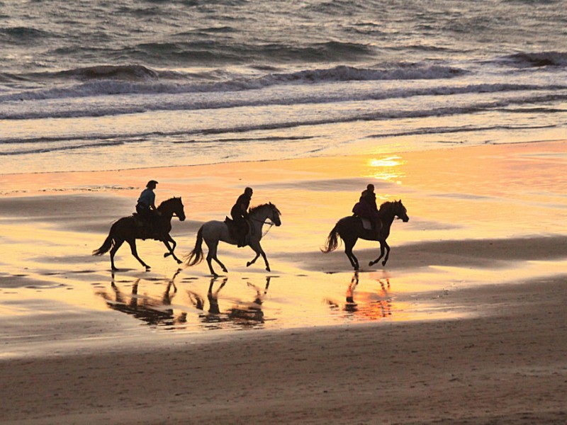 Reiten am Strand