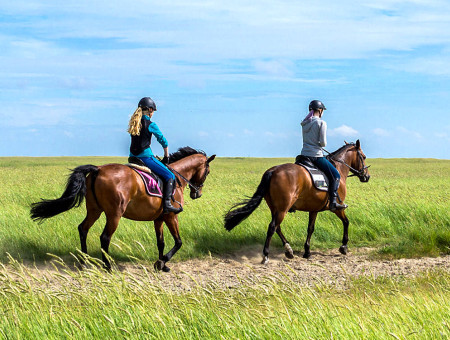 Reiten im Urlaub in Cornwall, Devon, Südengland 