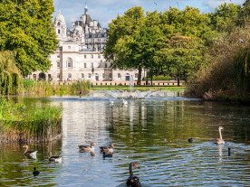 Parks London - St James Park - Reise 