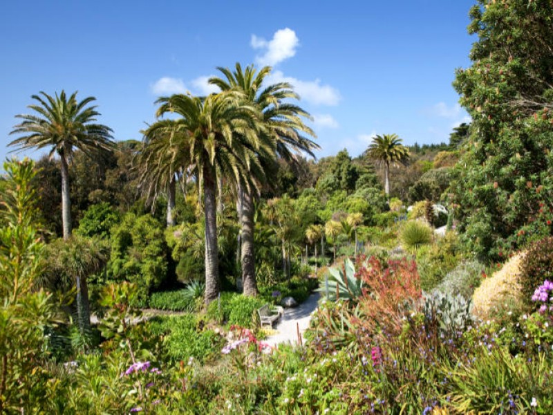 Ausflug Abbey Gardens Insel Tresco der Scilly Inseln