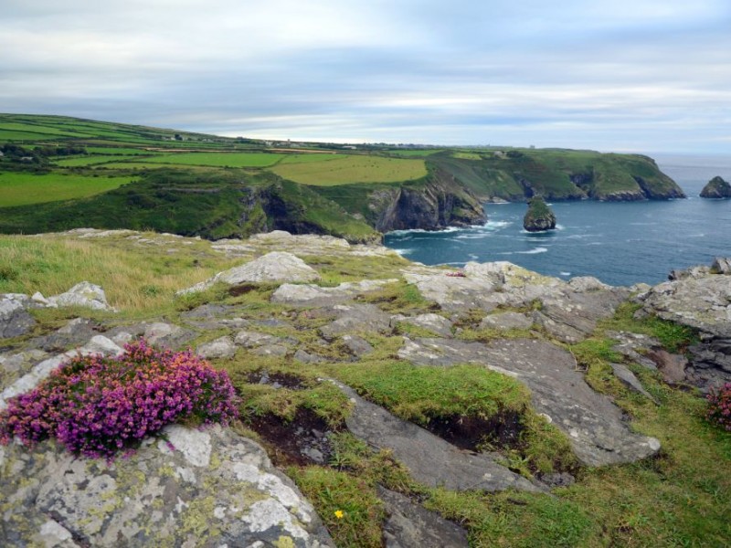 Küstenlandschaft in Cornwall