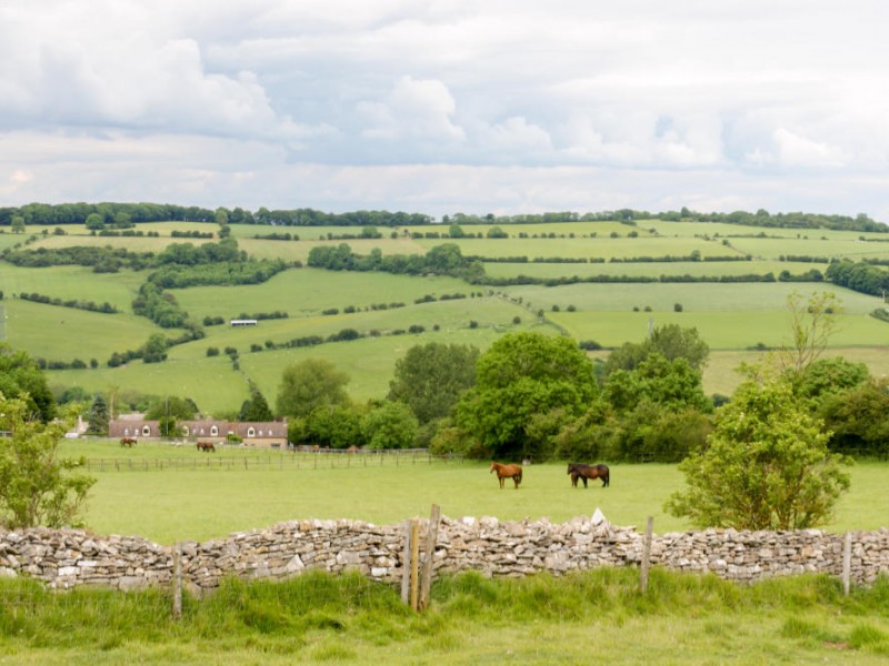 Cleeve Hill Cheltenham
