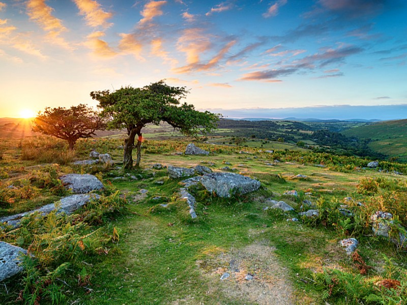 Urlaub im Dartmoor National Park in Devon