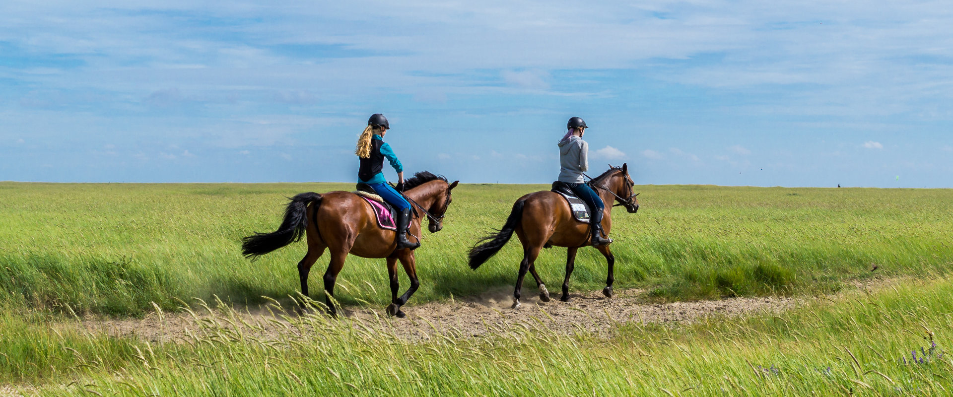 Reiten Südengland