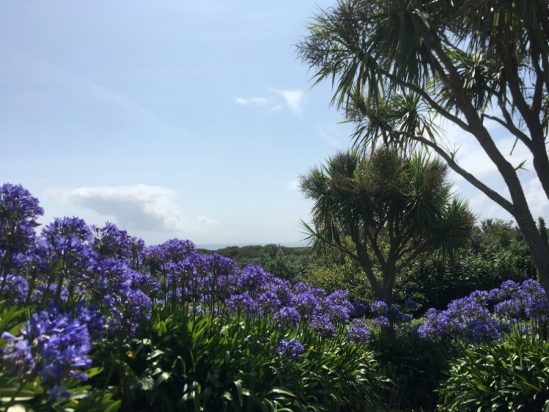 Scilly Inseln - Insel St.Martin's
