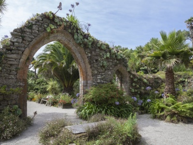 TrescoGarden Ado 121782158 434