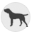 hund vor ort